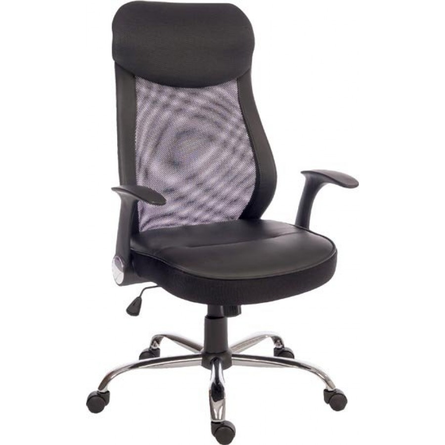 Curve Mesh Executive Office Chair